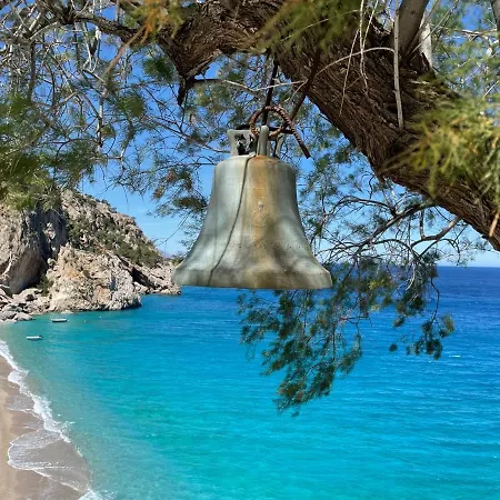 The View No1 'the Michael' *