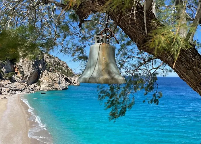 The View No1 'the Michael' *